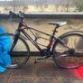 Ladies Bike Image 2