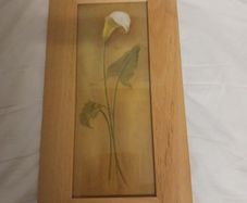 Flower framed picture