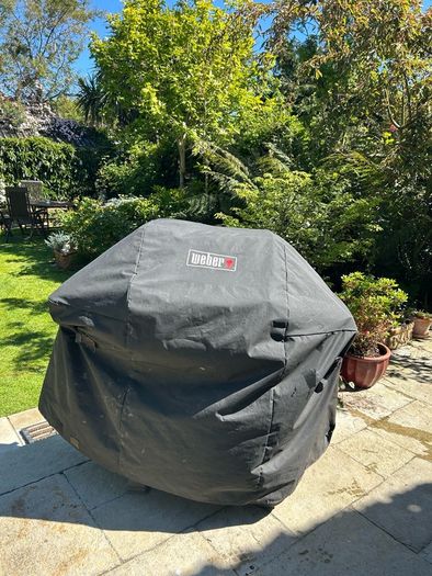 Weber Gas BBQ Spirit II