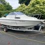 Fletcher Faro sports cruiser hi Image 2