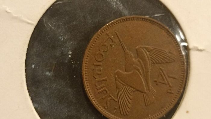 set of Irish farthings