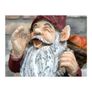 Gnome Blue Jacket D9401 Image 2