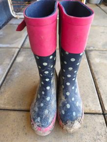Girls Welli Boots