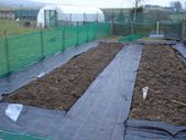 green garden netting 1m x 50m
