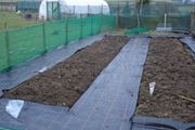 green garden netting 1m x 50m