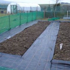 green garden netting 1m x 50m