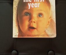 What to expect - the first year
