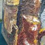 Large Impasto Still Life Image 4