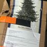 Christmas Tree Image 2
