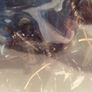 Harry Potter Bane and Magorian Figures Popco  New and Sealed Image 3