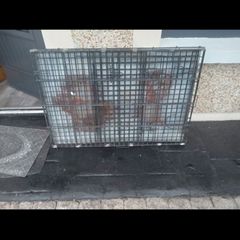 Large dog cage
