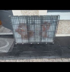 Large dog cage