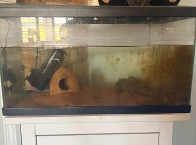 fish tank