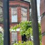 Reclaimed bricks Image 3
