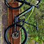 bike Image 10