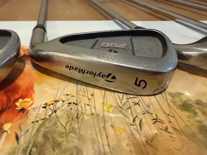 Taylor Made T200 Series Irons 4 Sw For Sale in Castleknock, Dublin from ...
