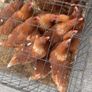 Laying hens Image 2