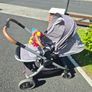 Travel system-maxi cosi adorra Image 2