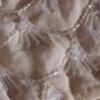 Miss Selfridges - Beige Cream Scallop Beading Vintage Style Shorts Image 9