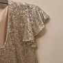 Fabulous sequin dress Image 3