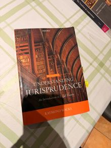 Understanding Jurispridence