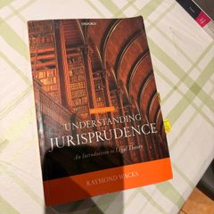 Understanding Jurispridence
