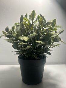 IKEA Artificial plant