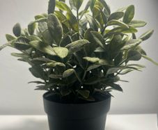 IKEA Artificial plant