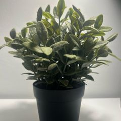 IKEA Artificial plant
