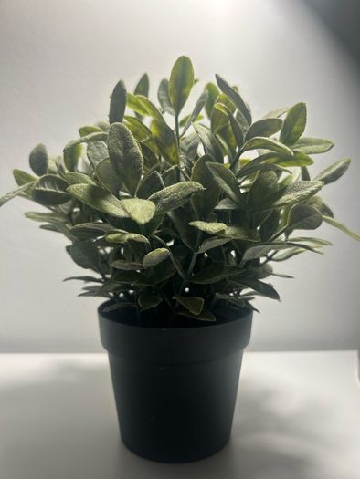 IKEA Artificial plant