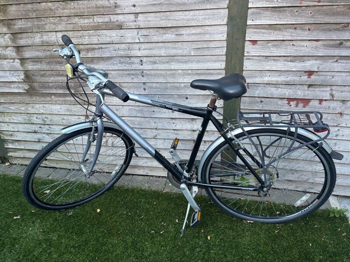 Adult bike