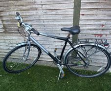 Adult bike