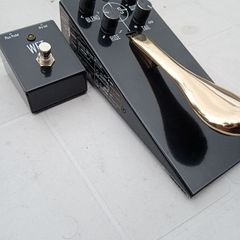 Game changer Plus sustain pedal and Wet switch