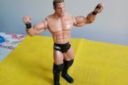 WWE Wrestlers action Figure