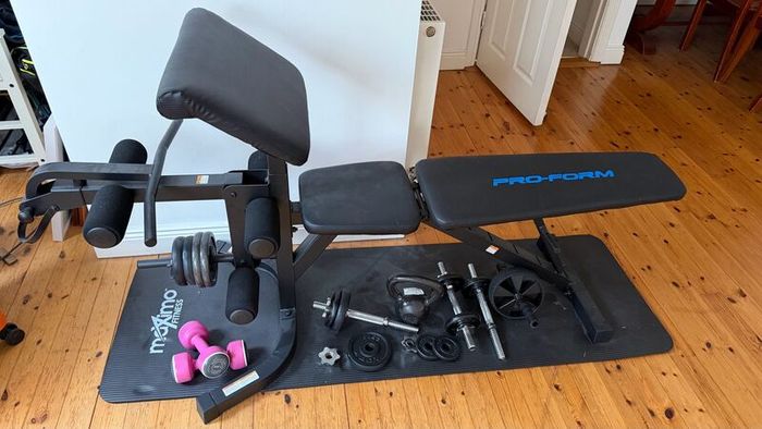 Pro-Form Adjustable Weight Bench and Olympic Squat Rack like new