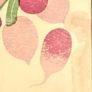 Two Darina Allen Cookbooks Image 4