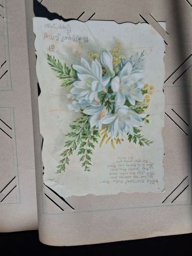 Mega Art Nouveau Postcard Album (197 Pieces)