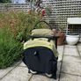 Cybex Libelle travel buggy Image 8