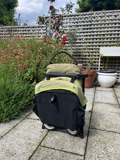 Cybex Libelle travel buggy