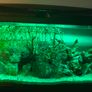 Ciano 76 litre tank Image 7