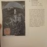 Art Of The State. 20th Century Irish Art From The State Collection. Large Volume Paperback In Good Condition.  See Photos For Same. Image 9