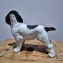 Staffordshire Token Pottery ceramic spaniel Image 2