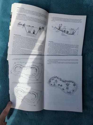 The Beaver Guide To Water Gardening