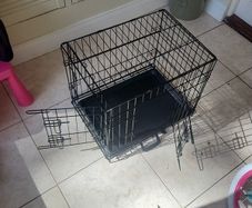 dog crate