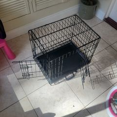 dog crate
