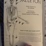 Vintage Make Life-Size Skeleton Book Image 3