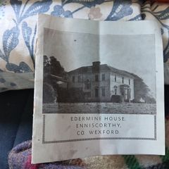Irish interest