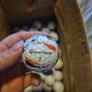 golf balls 10 for 12 euro Image 2