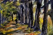 lime tree walk at argory watercolour