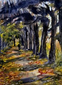 lime tree walk at argory watercolour